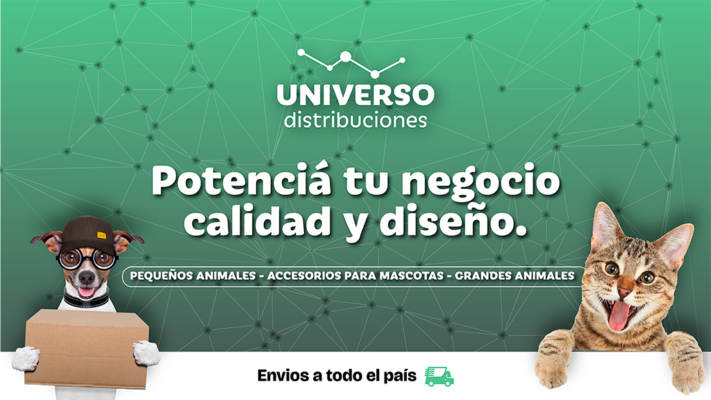 Second slide
